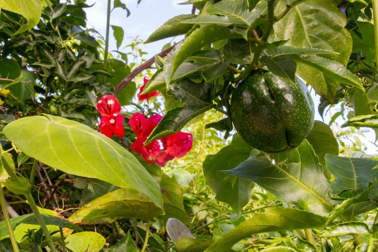 Bodega Goyo Appartamento