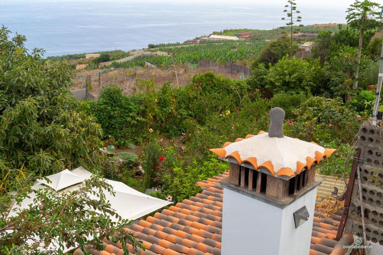 Apartment Bodega Goyo *