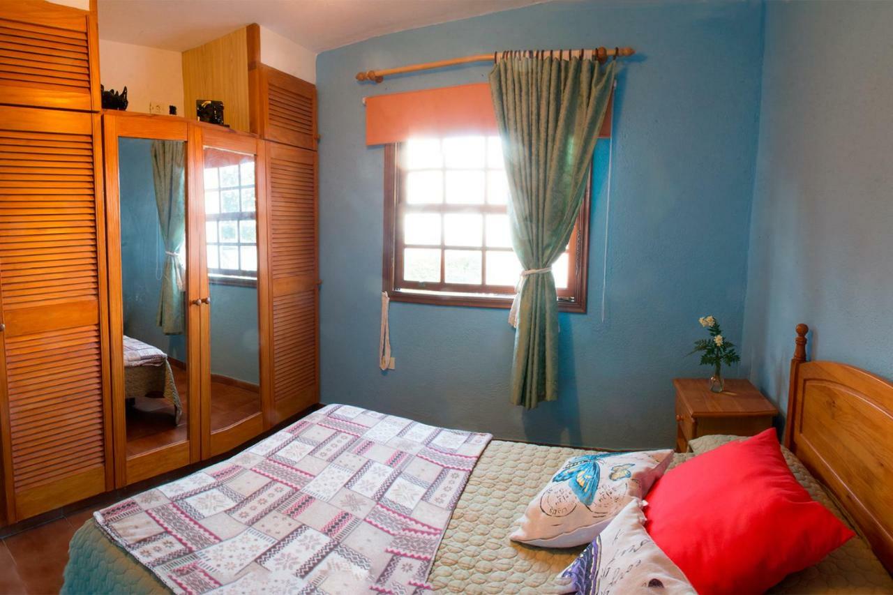 Apartment Bodega Goyo *