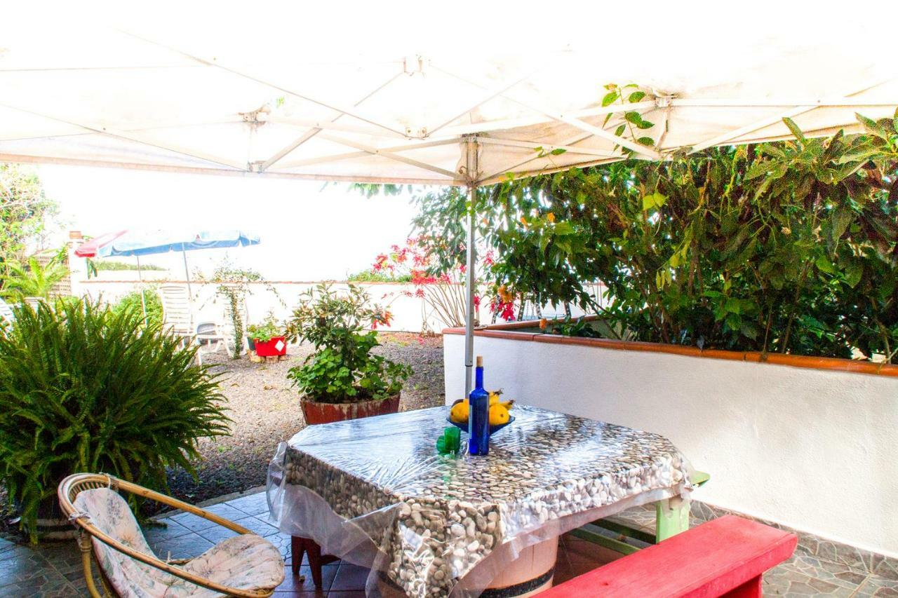 Apartment Bodega Goyo *